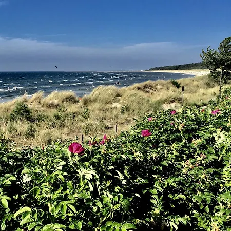 別荘 Waldhaus Am *