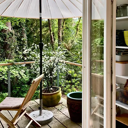 Waldhaus Am * ルブミン